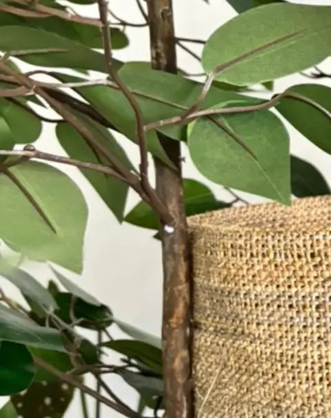 1.80m Tropical Luxury Cat Tree – Natural Cat Tower With Basket