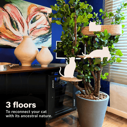 1.60m Tropical Luxury Cat Tree – Modern Cat Furniture for Apartments & Small Homes
