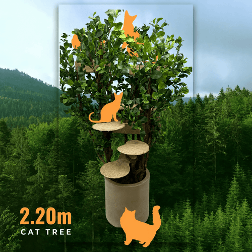 Supreme 2.20m Luxury Cat Tree – Large Natural Cat Tower for Multiple Cats