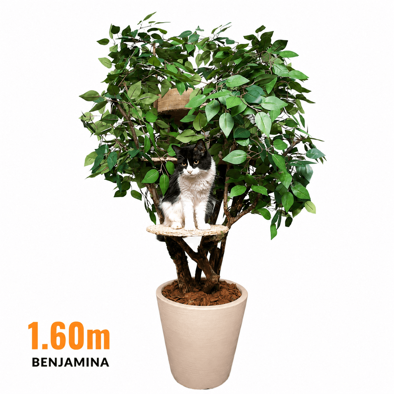 Benjamina 1.60m Luxury Cat Tree – Decorative Indoor Plant Cat Furniture