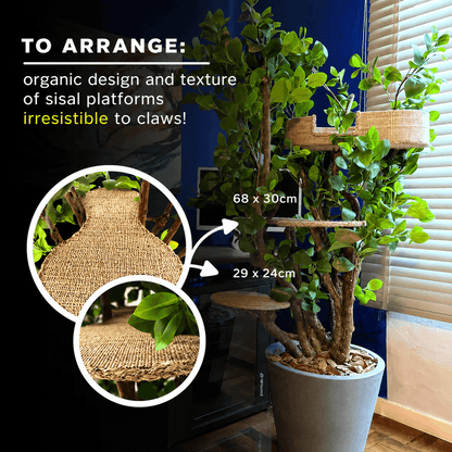 1.60m Tropical Luxury Cat Tree – Modern Cat Furniture for Apartments & Small Homes