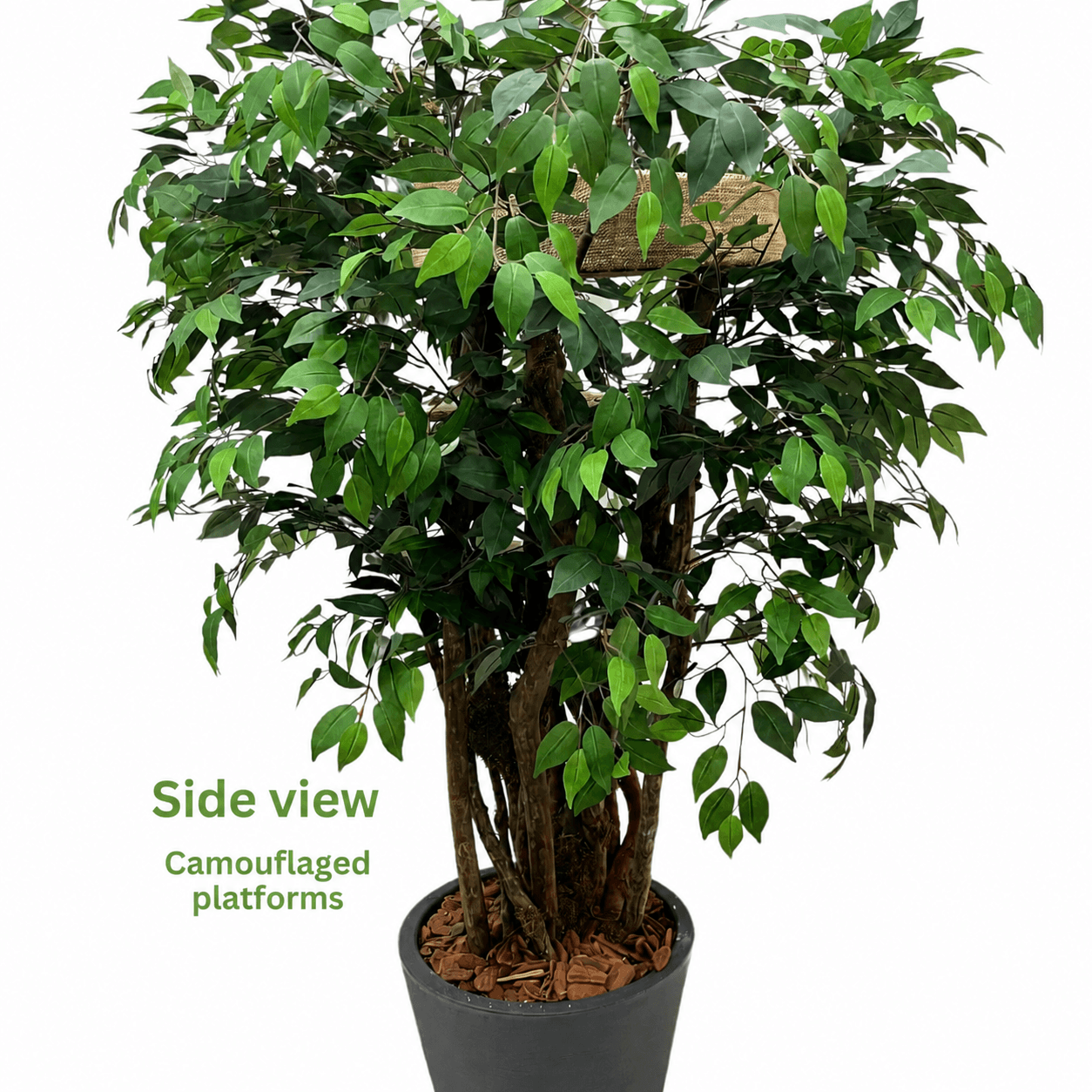 1.80m Tropical Luxury Cat Tree – Natural Cat Tower With Basket