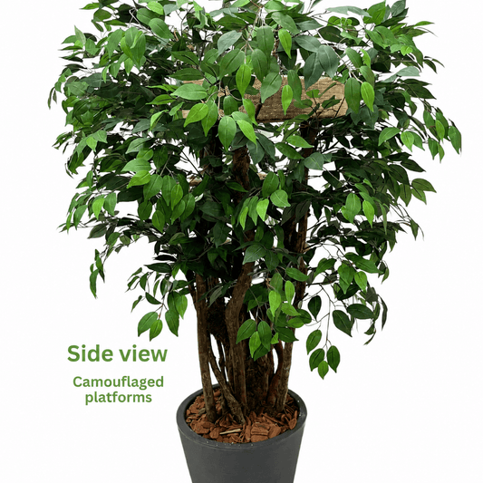 1.80m Tropical Luxury Cat Tree – Natural Cat Tower With Basket