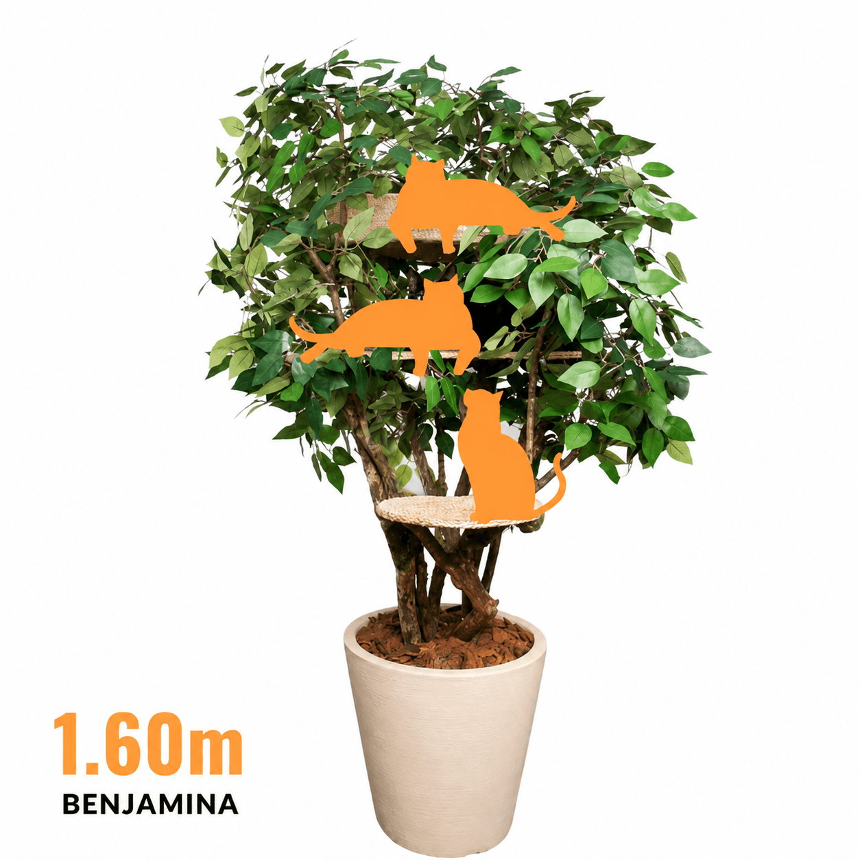 Benjamina 1.60m Luxury Cat Tree – Decorative Indoor Plant Cat Furniture