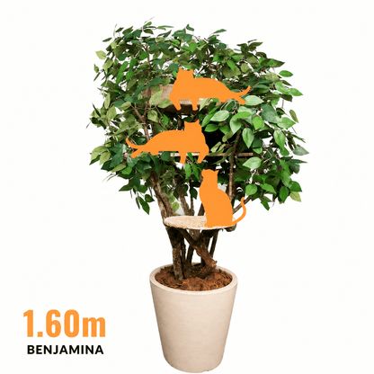 Benjamina 1.60m Luxury Cat Tree – Decorative Indoor Plant Cat Furniture
