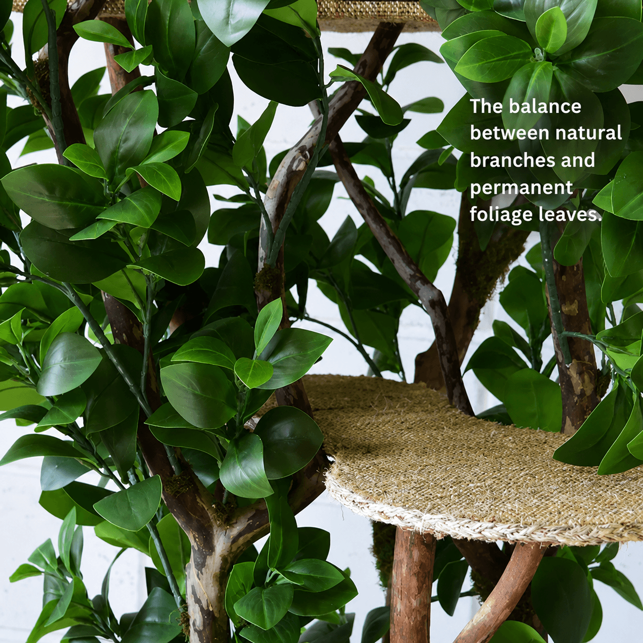 1.80m Tropical Adventure Cat Tree – Large Indoor Jungle Playground for Cats