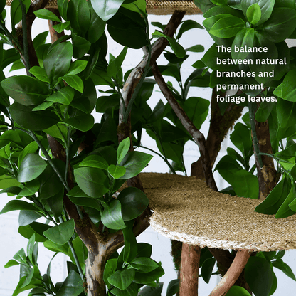 1.80m Tropical Adventure Cat Tree – Large Indoor Jungle Playground for Cats