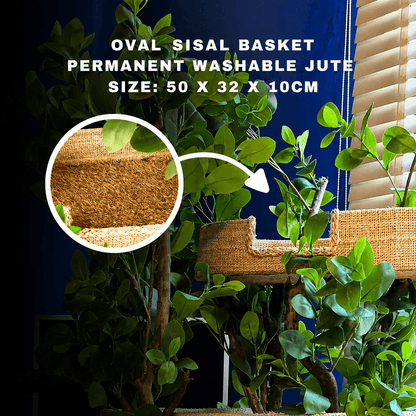 1.60m Tropical Luxury Cat Tree – Modern Cat Furniture for Apartments & Small Homes