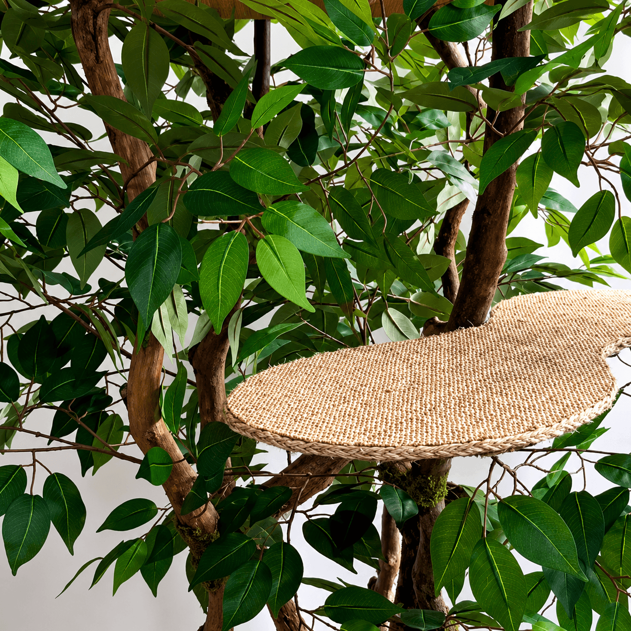 Benjamina 1.60m Luxury Cat Tree – Decorative Indoor Plant Cat Furniture