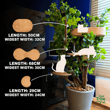 1.60m Tropical Luxury Cat Tree – Modern Cat Furniture for Apartments & Small Homes
