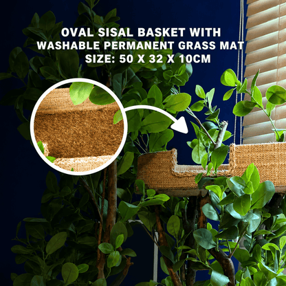 1.80m Tropical Adventure Cat Tree – Large Indoor Jungle Playground for Cats