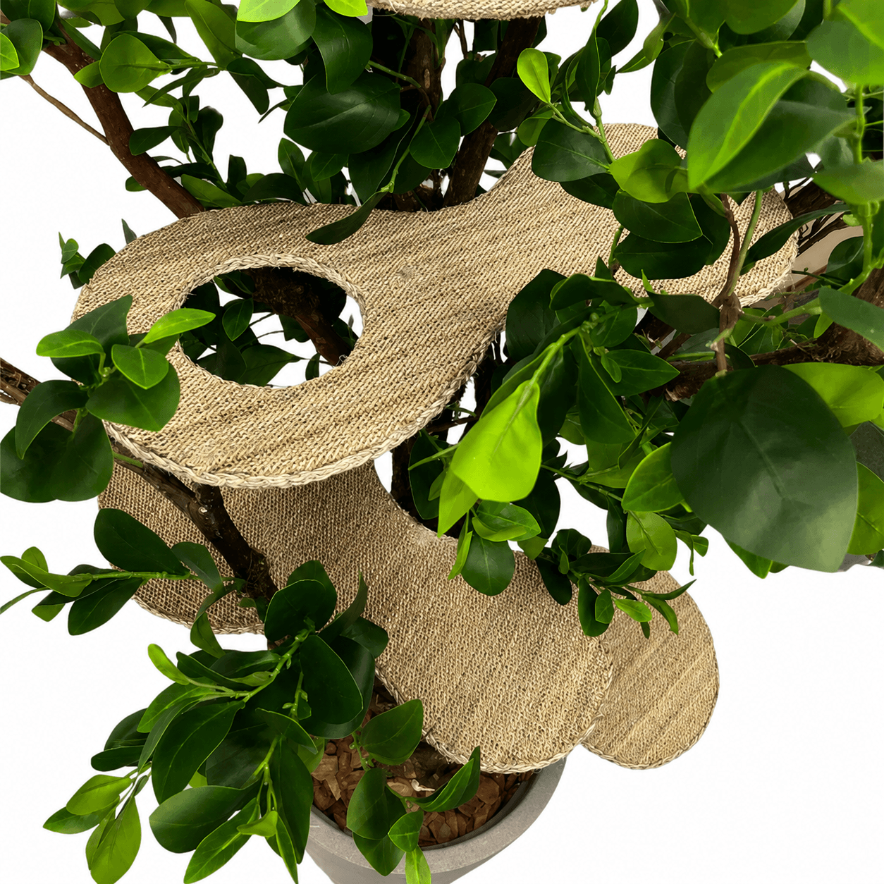 1.80m Tropical Adventure Cat Tree – Large Indoor Jungle Playground for Cats